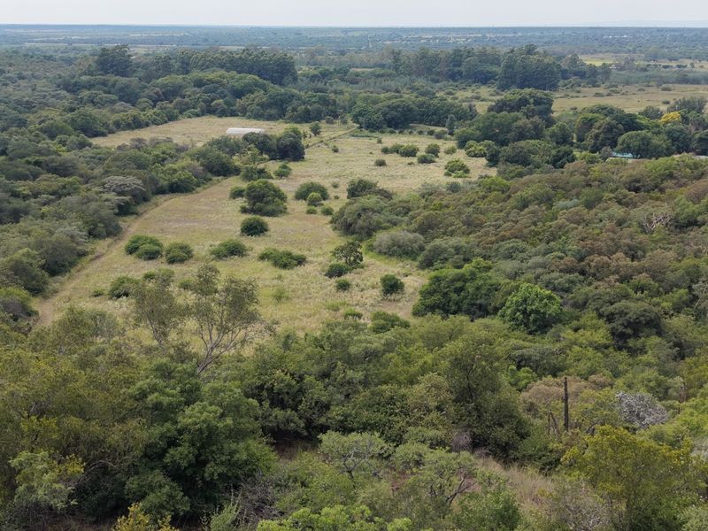 An elevated aerial view showcasing the expansive natural landscape, including dense woodland and open pasture areas on the farm property.