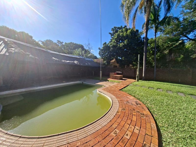 Outdoor pool area featuring a swimming pool, brick paving, a thatched lapa, and a built-in braai within a private garden setting.