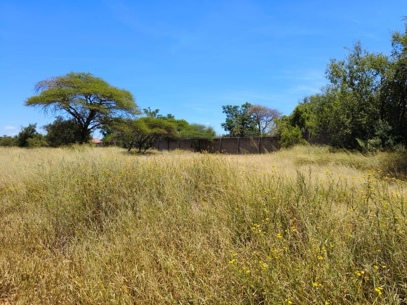 A view of a vacant residential plot featuring tall grass, mature trees, and a perimeter boundary wall.
