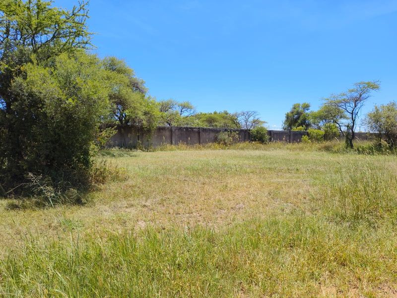 A vacant residential plot featuring established trees and a perimeter boundary wall, offering a clear space for future development.