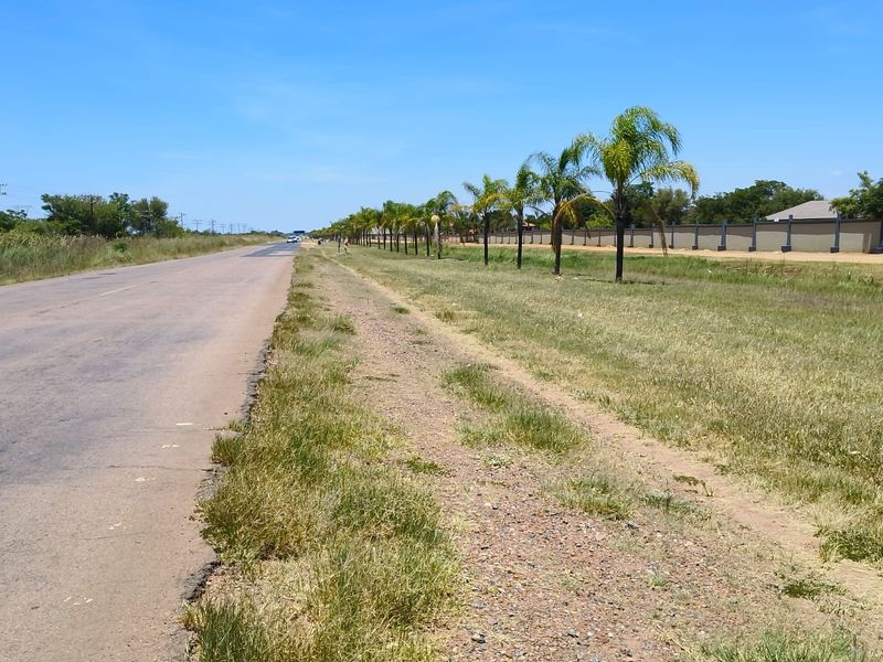 A view of the asphalt road frontage featuring a long perimeter wall and a row of established palm trees along the property boundary.
