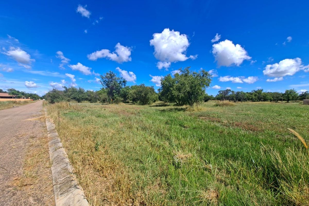 A view of a vacant residential plot featuring natural grassland, adjacent to a paved road with a concrete curb.