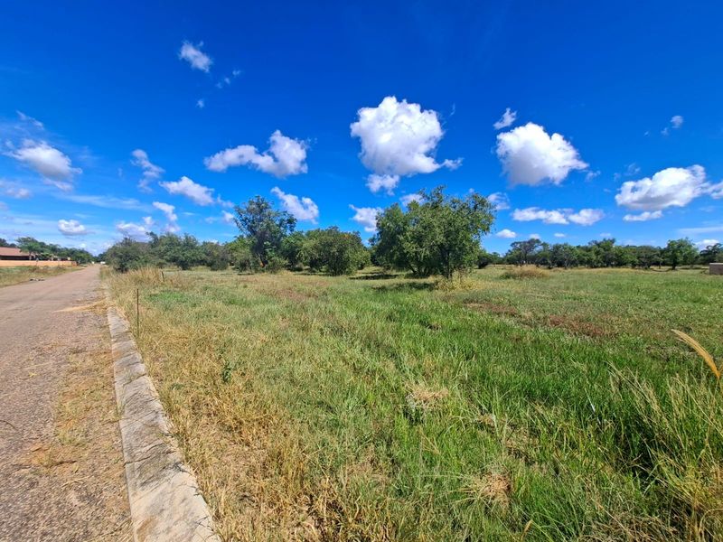 A view of a vacant residential plot featuring natural grassland, adjacent to a paved road with a concrete curb.