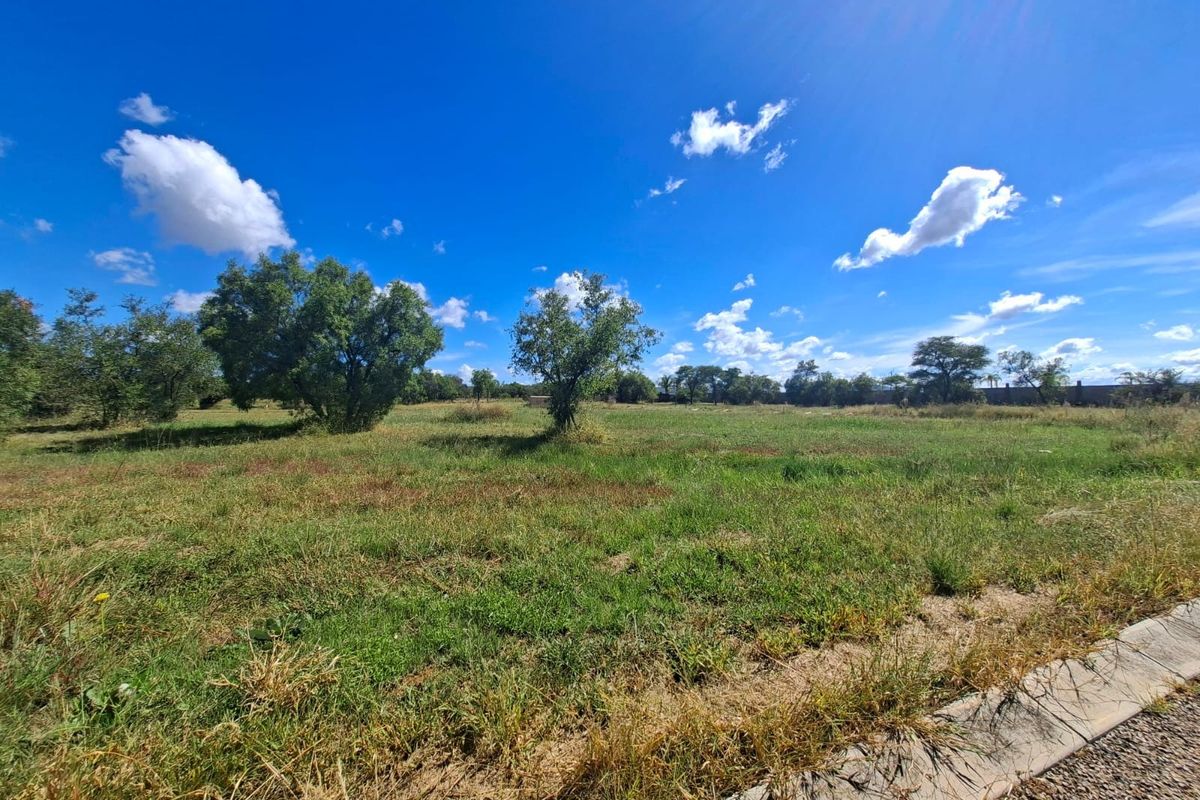 A view of a vacant residential plot featuring natural grassland, mature trees, and a concrete curb along the street edge.
