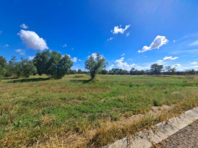 A view of a vacant residential plot featuring natural grassland, mature trees, and a concrete curb along the street edge.