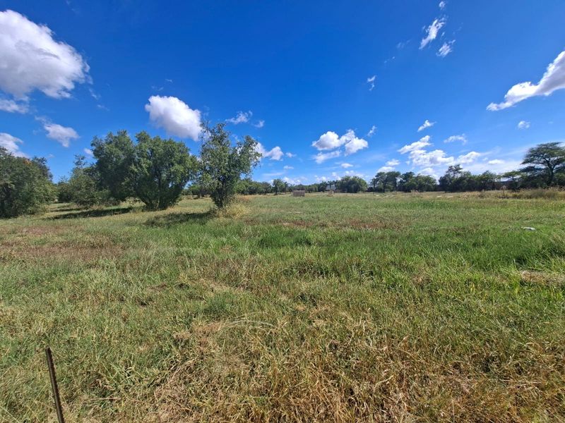 A wide-angle view of a vacant residential plot featuring natural grassland and mature trees under a clear blue sky.
