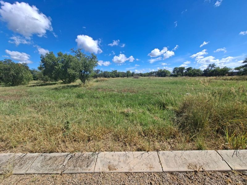 A view of a vacant residential plot featuring natural grassland, mature trees, and a concrete curb along the street boundary.
