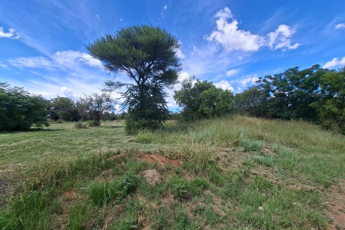 A view of a vacant residential plot featuring natural grassland and mature trees under a clear blue sky.