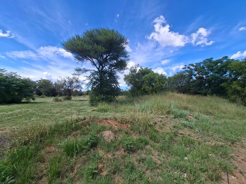 A view of a vacant residential plot featuring natural grassland and mature trees under a clear blue sky.