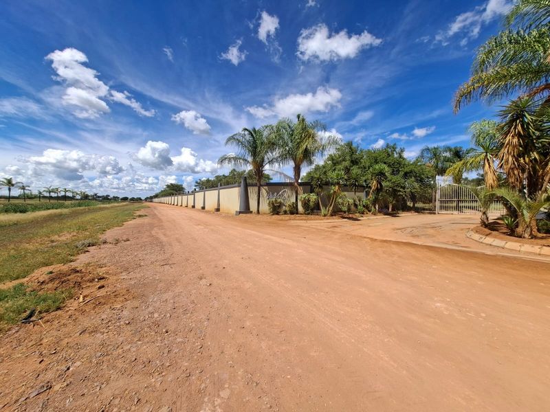 A street-level view of the property entrance featuring a long perimeter wall, metal gate, and established palm trees along a dirt road.