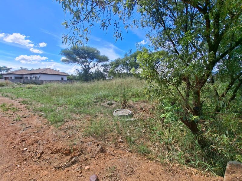 A view of a vacant residential plot featuring natural vegetation, mature trees, and a visible manhole cover on the property grounds.