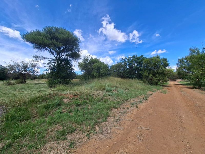 A view of a vacant residential plot featuring a dirt access road and established native trees and vegetation.