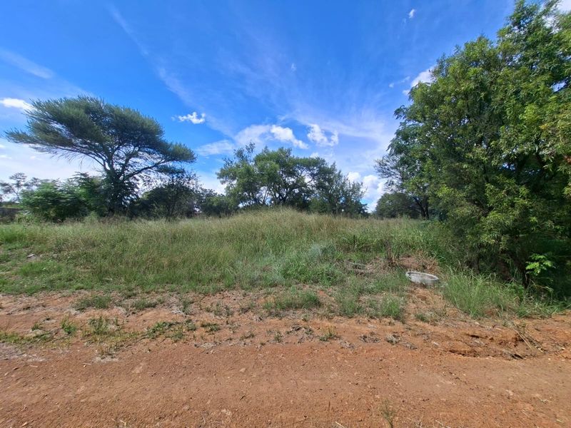 A vacant residential plot featuring natural vegetation and mature trees, offering a blank canvas for future development.