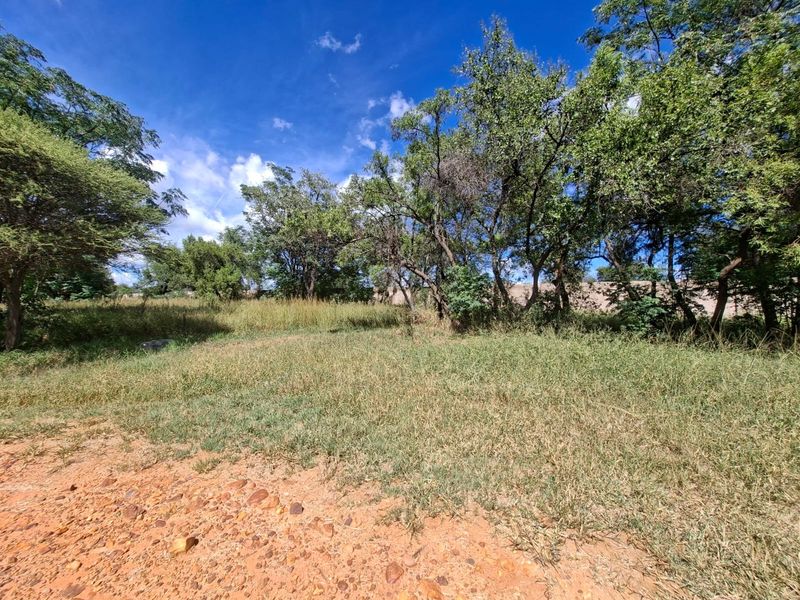 A view of a vacant residential plot featuring natural grassland and mature trees under a clear blue sky.