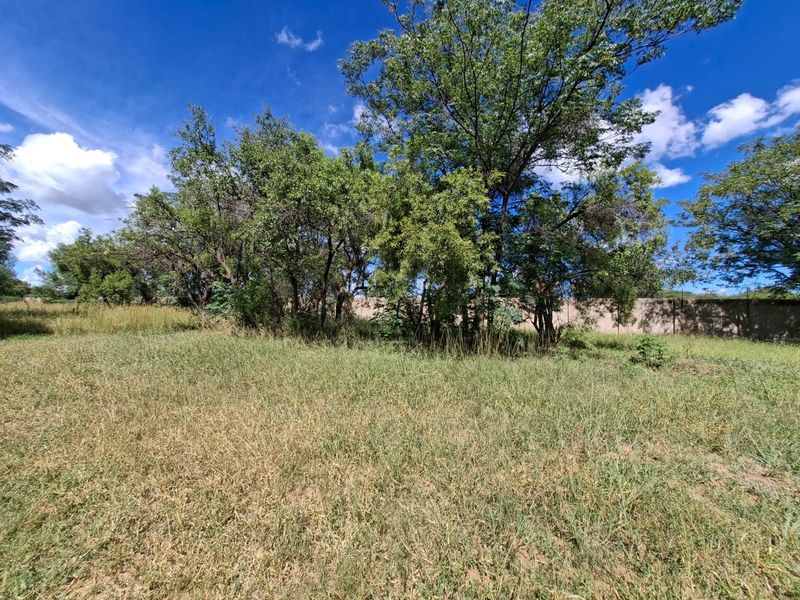 A view of a vacant residential plot featuring established trees and a perimeter boundary wall.
