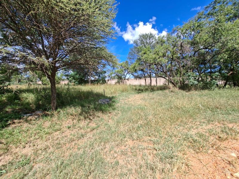 A view of a vacant residential plot featuring mature trees, natural grass cover, and a perimeter boundary wall.