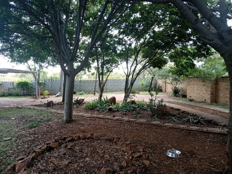 A spacious garden area featuring mature trees, established landscaping, stone edging, and a brick boundary wall with a paved driveway section.