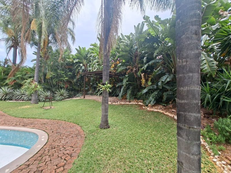 A lush garden area featuring a swimming pool with stone paving, mature palm trees, and a wooden pergola structure.