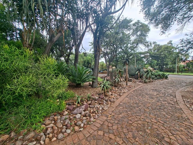 A well-maintained garden area featuring a curved cobblestone driveway, mature trees, and established rockery landscaping.