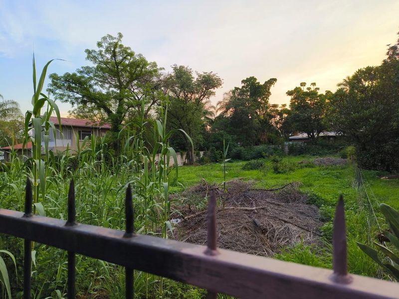 A view of a vacant residential plot featuring mature trees, overgrown vegetation, and a metal perimeter fence.