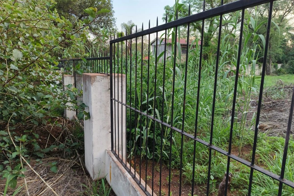 A view of the property boundary featuring a metal spike fence mounted on concrete pillars, surrounded by overgrown vegetation.