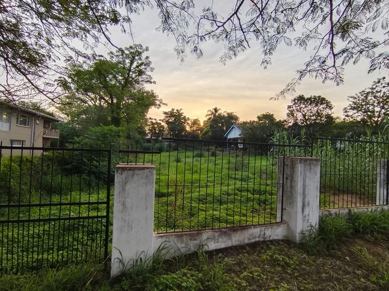 A view of a vacant residential plot featuring metal perimeter fencing and concrete pillars, surrounded by established trees and overgrown vegetation.