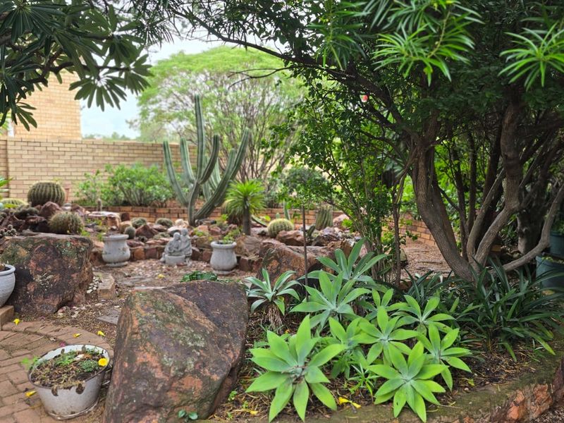 A well-established garden featuring a rockery, mature trees, various cacti, and a brick boundary wall.