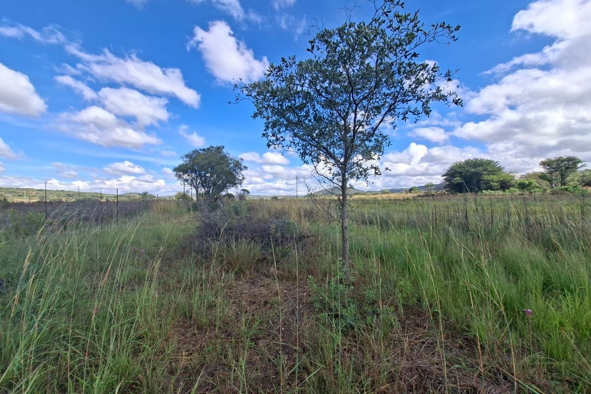 A view of the vacant residential land featuring natural grass, scattered trees, and perimeter wire fencing under a clear blue sky.