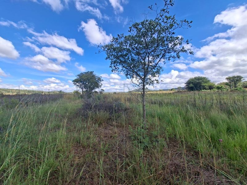 A view of the vacant residential land featuring natural grass, scattered trees, and perimeter wire fencing under a clear blue sky.