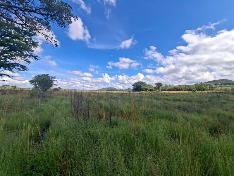 A wide-angle view of a vacant residential plot featuring natural grassland, scattered trees, and distant hills under a clear blue sky.