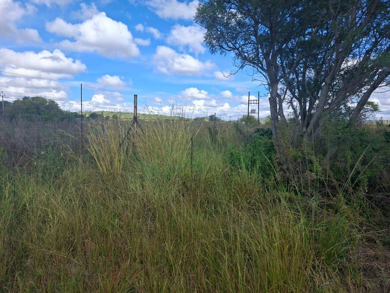 A view of a vacant residential plot featuring overgrown grass, mature trees, and existing wire perimeter fencing.