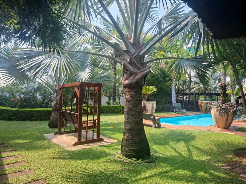 A well-maintained outdoor pool area featuring a swimming pool, brick paving, and mature palm trees set within a lush garden.