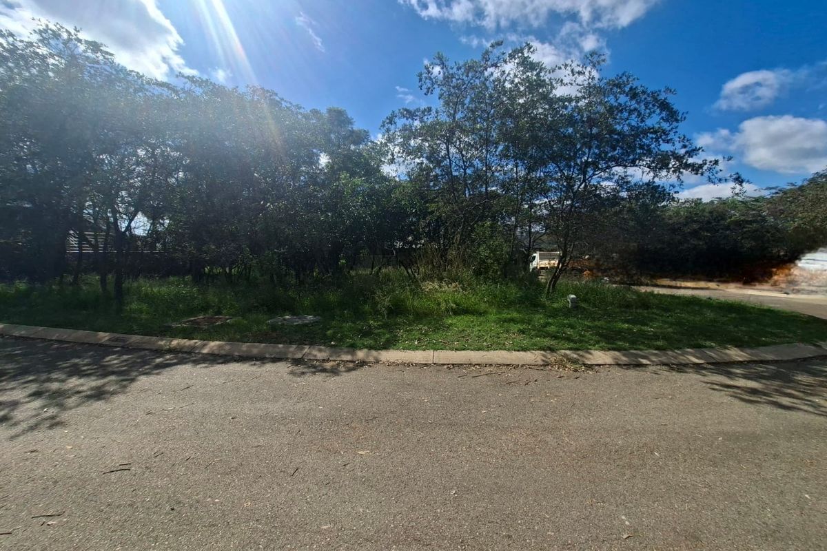 A view of a vacant residential plot featuring mature trees, grass verge, and paved road access.