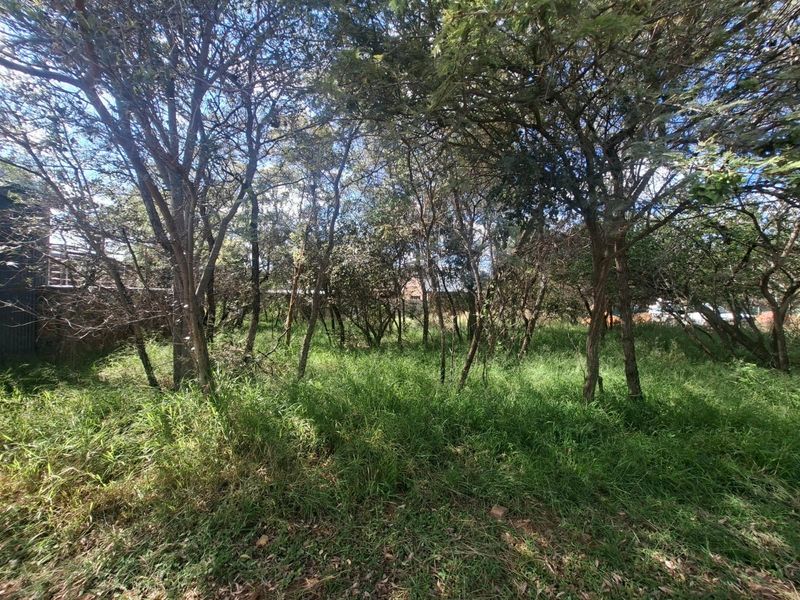 A view of a vacant residential plot featuring mature trees and natural grass cover, suitable for future development.