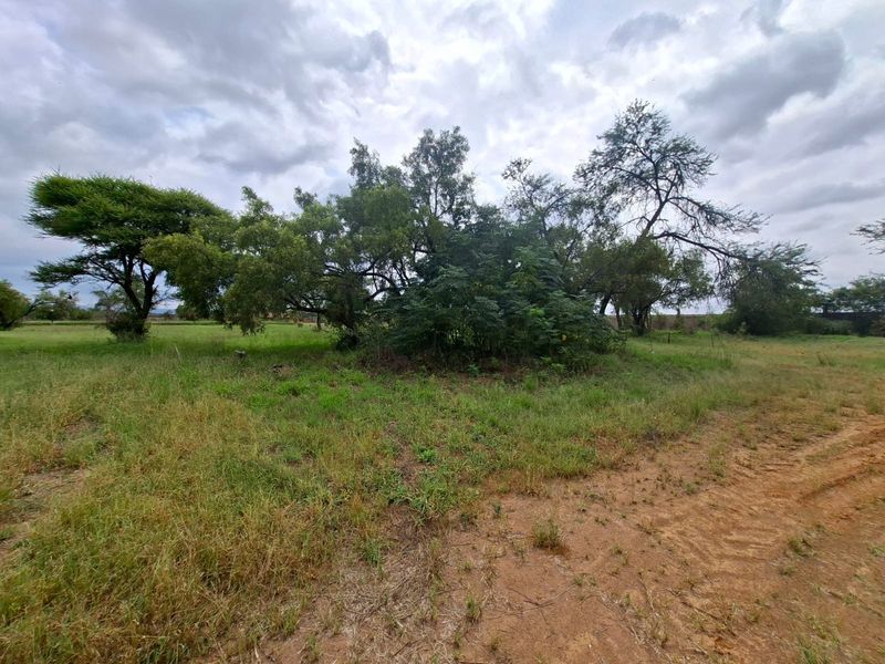 A view of a vacant residential plot featuring natural grassland and mature trees under a cloudy sky.