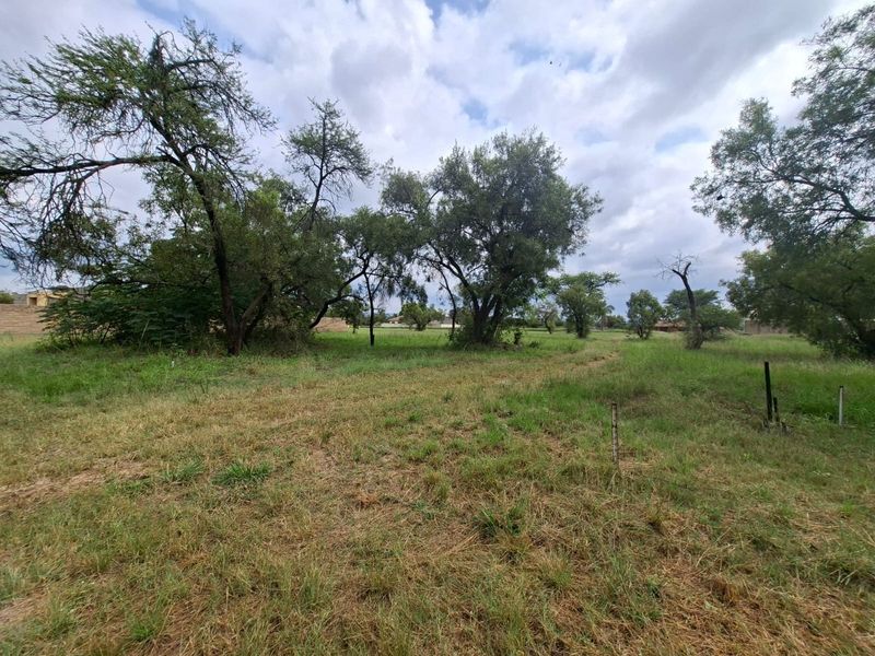 A view of a vacant residential plot featuring established trees and natural grass cover.
