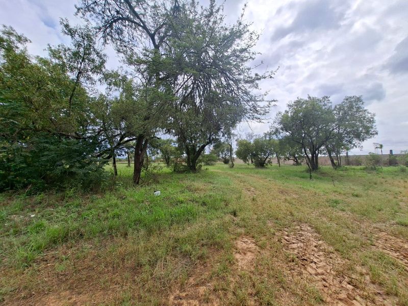 A vacant residential plot featuring mature trees, natural grassland, and a perimeter boundary wall, offering a blank canvas for development.