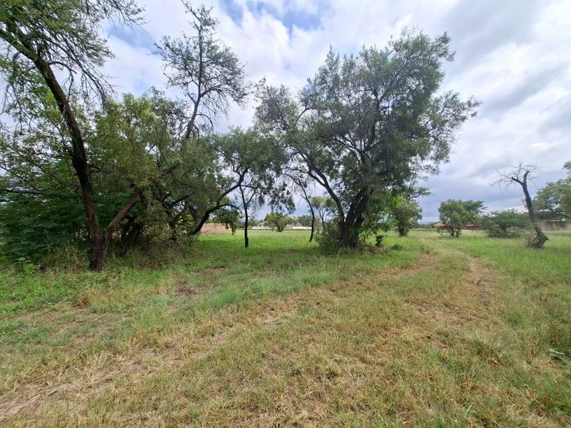 A view of a vacant residential plot featuring established trees and natural grass cover.