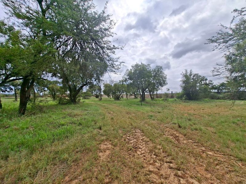 A view of a vacant residential plot featuring mature trees, natural grassland, and a perimeter wall boundary.