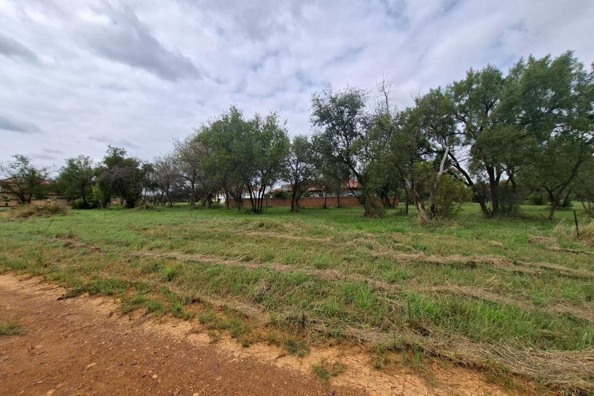A view of a vacant residential plot featuring established trees and natural grassland, accessible via a dirt road.