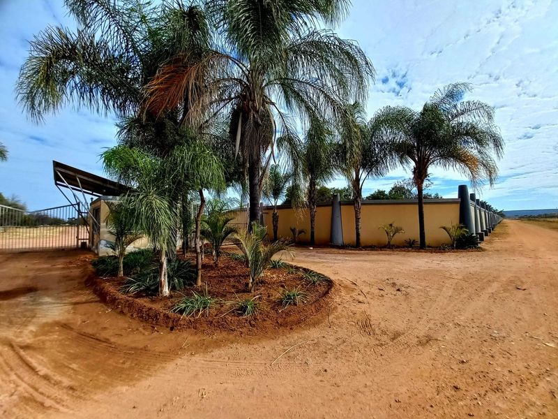 Front entrance view of the property featuring a secure perimeter wall, gated access, and established palm tree landscaping.