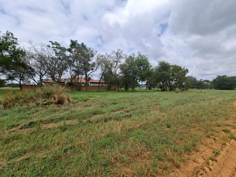 A view of a vacant residential plot featuring natural grassland, mature trees, and a partial brick boundary wall.