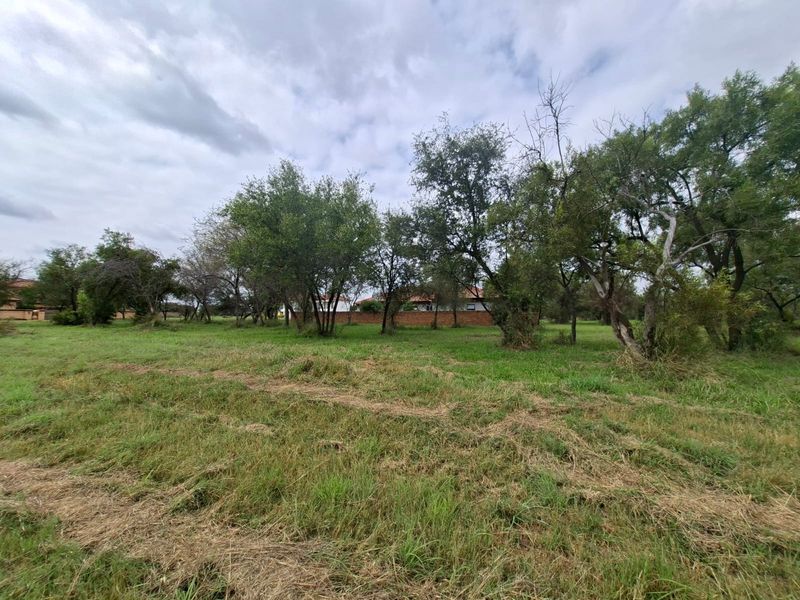 A view of a vacant residential plot featuring established trees, natural grass cover, and a brick boundary wall in the background.