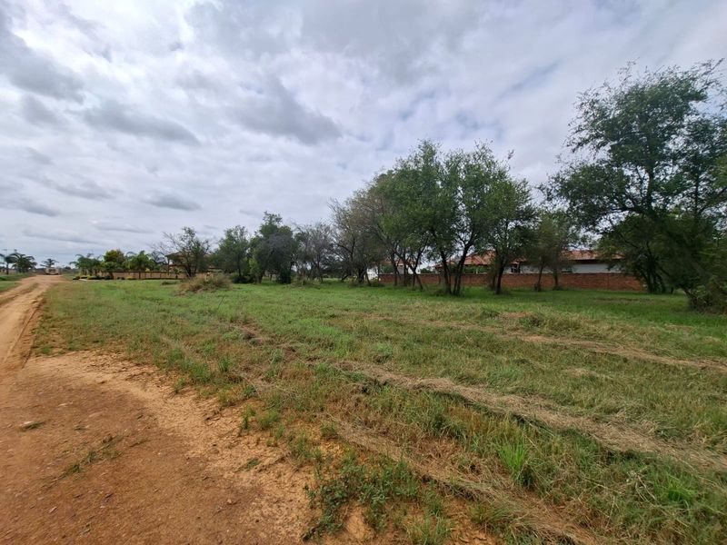 A view of a vacant residential plot featuring natural grass cover, mature trees, and a partial perimeter brick wall boundary.