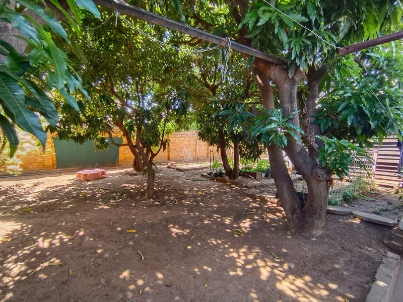A spacious backyard area featuring mature trees, a brick boundary wall, and a metal overhead support structure, offering potential for landscaping development.