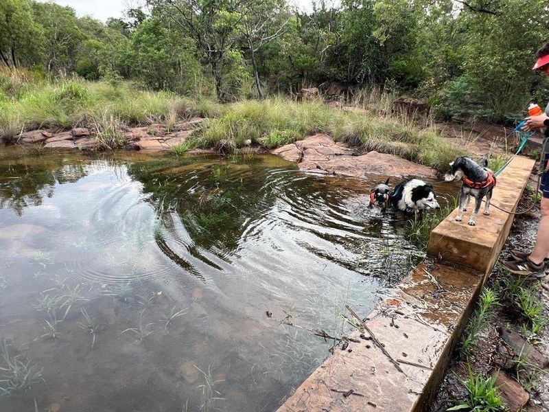 A natural rock pool feature set within a landscaped garden area, featuring a stone retaining wall and surrounding native vegetation.