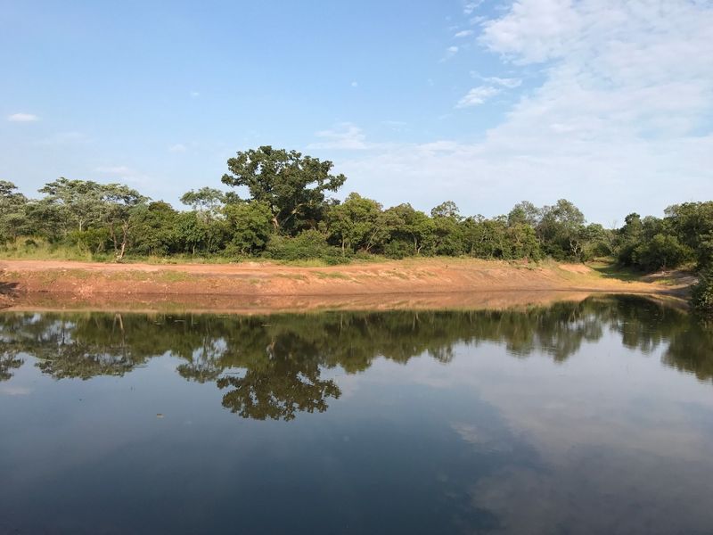 A scenic view of a natural dam surrounded by lush indigenous trees and vegetation on this vacant residential land.