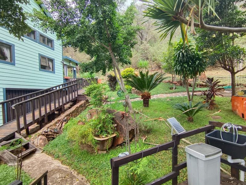 A lush garden area featuring a timber walkway, stone retaining walls, and a stone pathway leading through landscaped greenery alongside the house exterior.