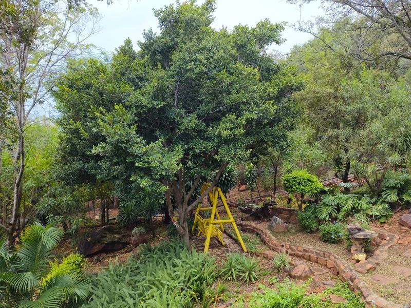 A lush, well-established garden featuring mature trees, stone retaining walls, and a winding paved pathway through landscaped greenery.