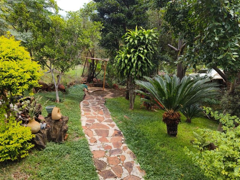 A lush, well-established garden featuring a stone pathway winding through mature trees, shrubs, and greenery.